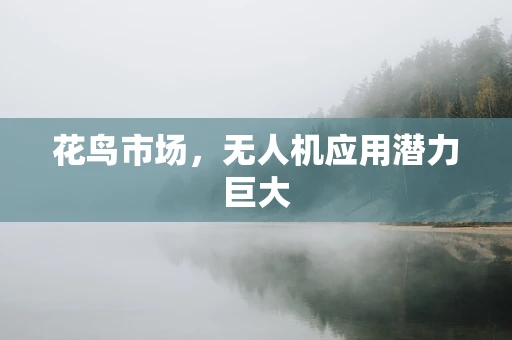 花鸟市场，无人机应用潜力巨大