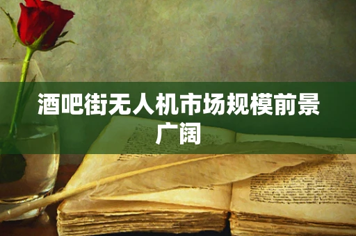 酒吧街无人机市场规模前景广阔