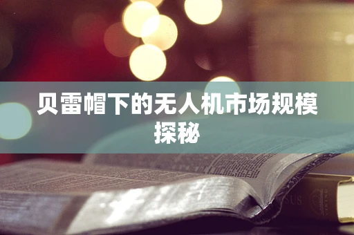 贝雷帽下的无人机市场规模探秘
