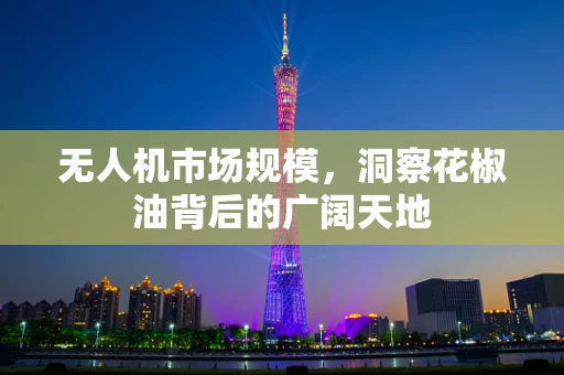 无人机市场规模，洞察花椒油背后的广阔天地