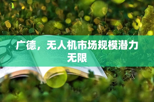 广德，无人机市场规模潜力无限