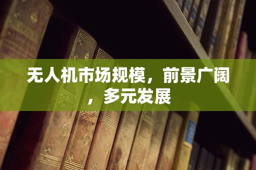 无人机市场规模，前景广阔，多元发展