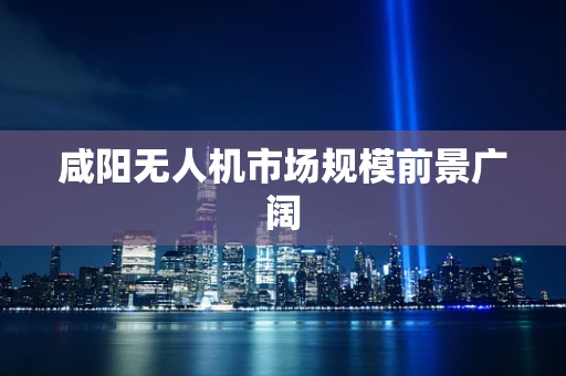咸阳无人机市场规模前景广阔