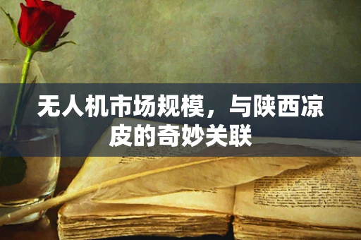 无人机市场规模，与陕西凉皮的奇妙关联