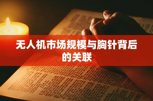 无人机市场规模与胸针背后的关联