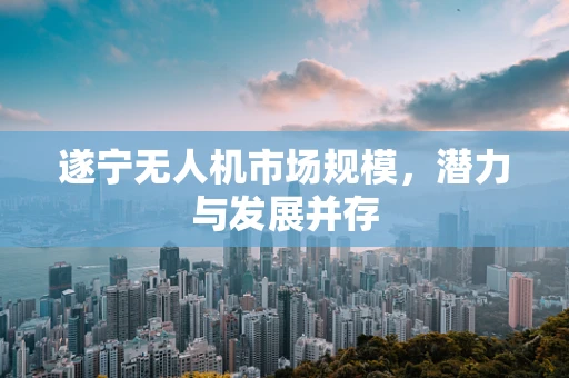遂宁无人机市场规模，潜力与发展并存