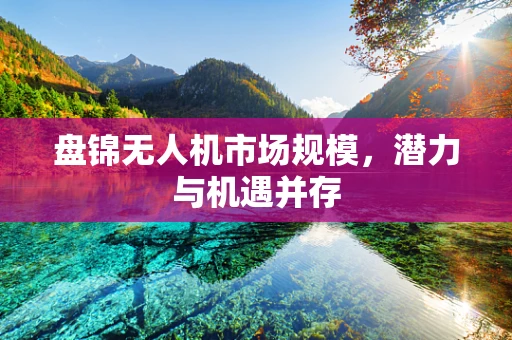 盘锦无人机市场规模，潜力与机遇并存