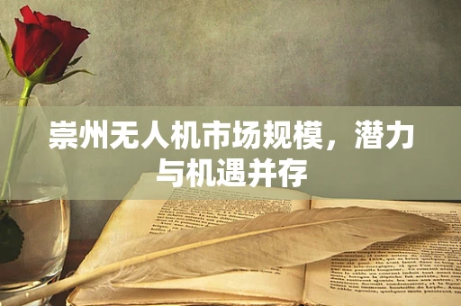 崇州无人机市场规模，潜力与机遇并存