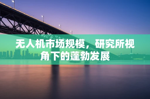 无人机市场规模，研究所视角下的蓬勃发展