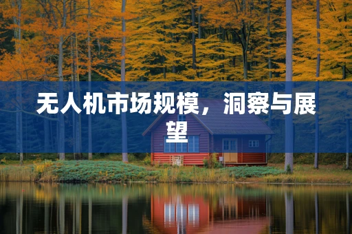 无人机市场规模，洞察与展望
