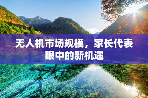 无人机市场规模，家长代表眼中的新机遇