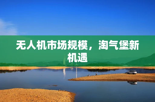 无人机市场规模，淘气堡新机遇