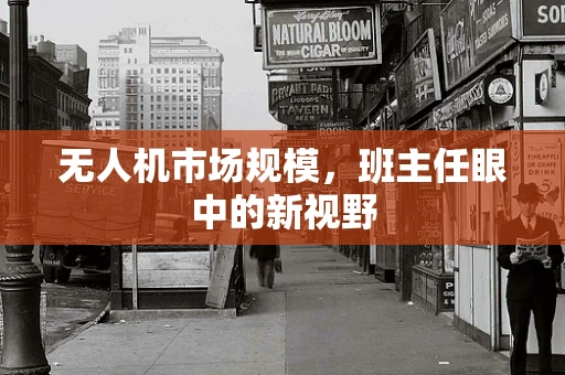 无人机市场规模，班主任眼中的新视野
