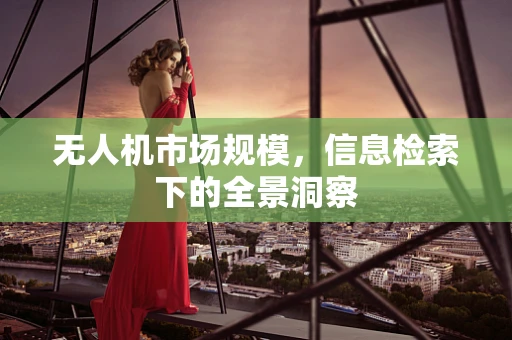 无人机市场规模，信息检索下的全景洞察