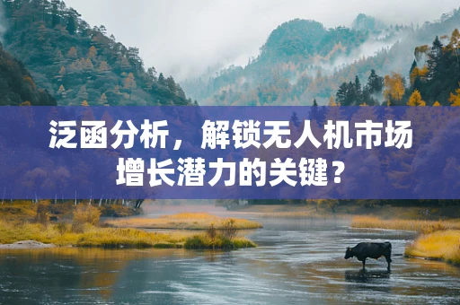 泛函分析，解锁无人机市场增长潜力的关键？