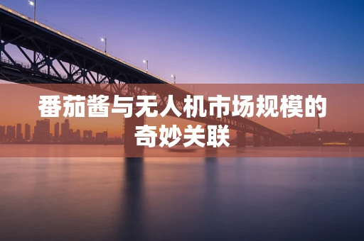 番茄酱与无人机市场规模的奇妙关联