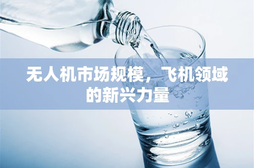 无人机市场规模，飞机领域的新兴力量