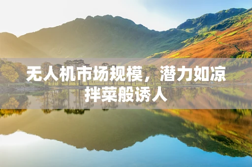 无人机市场规模，潜力如凉拌菜般诱人