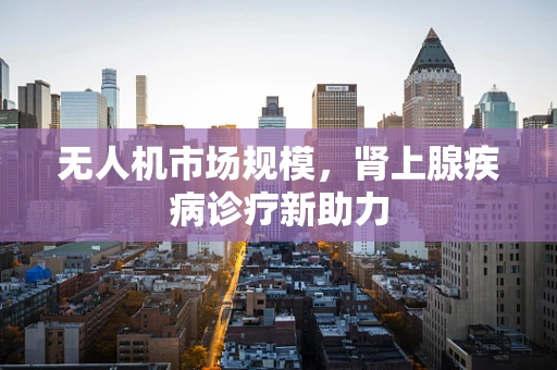 无人机市场规模，肾上腺疾病诊疗新助力