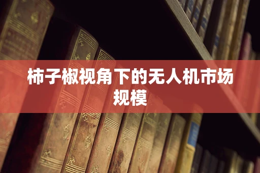 柿子椒视角下的无人机市场规模