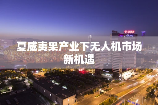 夏威夷果产业下无人机市场新机遇