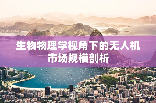 生物物理学视角下的无人机市场规模剖析