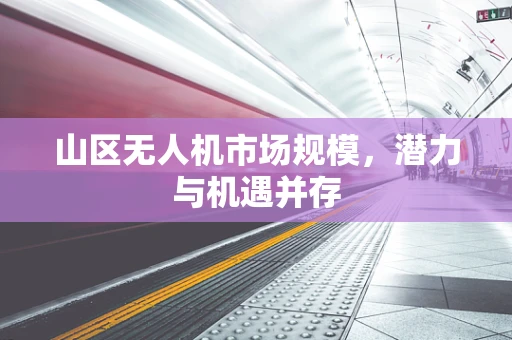 山区无人机市场规模，潜力与机遇并存
