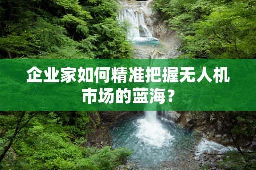 企业家如何精准把握无人机市场的蓝海？