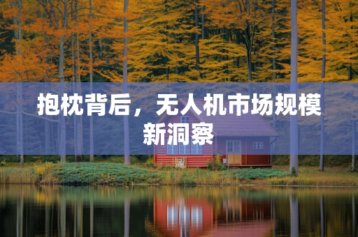 抱枕背后，无人机市场规模新洞察