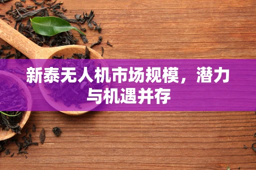 新泰无人机市场规模，潜力与机遇并存