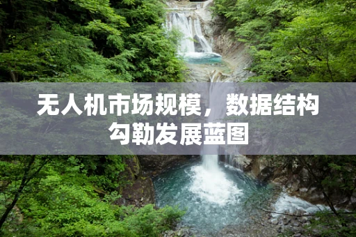 无人机市场规模，数据结构勾勒发展蓝图