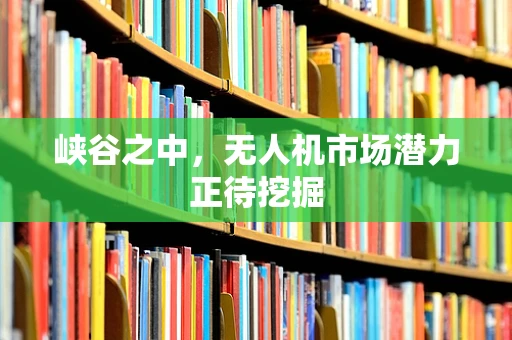 峡谷之中，无人机市场潜力正待挖掘