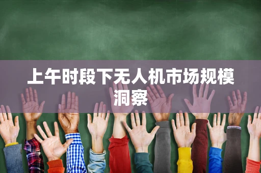 上午时段下无人机市场规模洞察