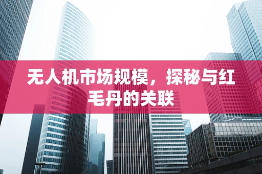 无人机市场规模，探秘与红毛丹的关联